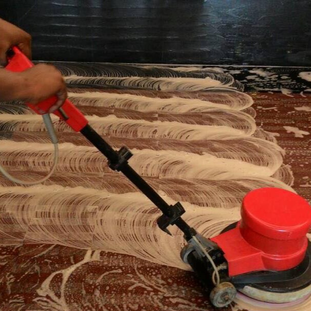 33619945_10155835476124620_4515069878700343296_n