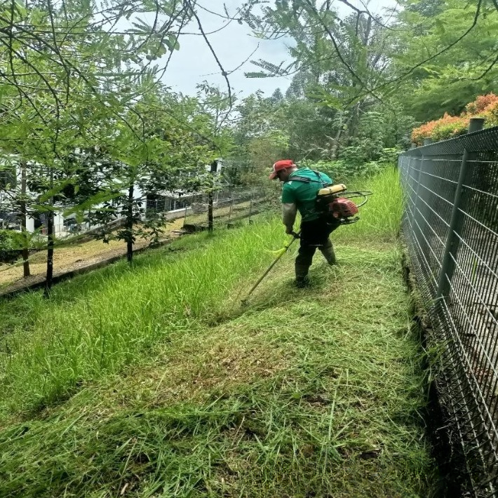 PROGRESS 1_cleanup.jpg