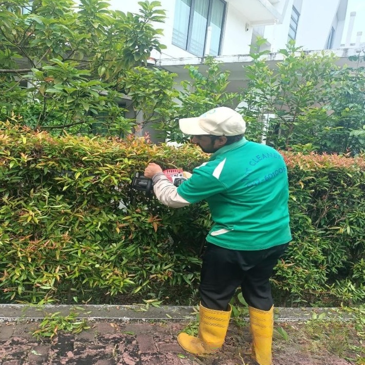 PROGRESS 2_cleanup.jpg