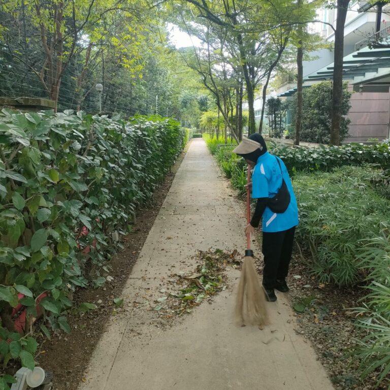 WhatsApp Image 2025-05-12 at 17.52.39_5c89b526